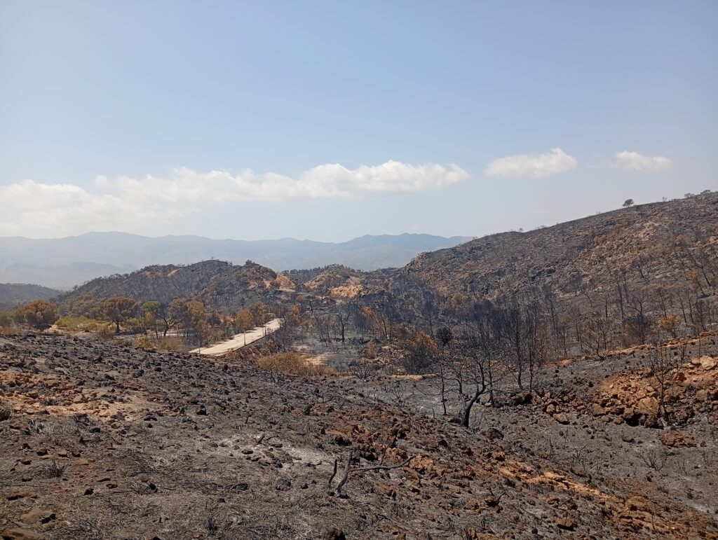 A wide view of a fire-scarred landscape with blackened hillsides and charred trees stretching across the foreground and mid-ground. A narrow road winds through the burned terrain, while hazy mountain ridges are visible in the distance beneath a pale blue sky with scattered white clouds. The ground is covered in dark ash and exposed rock, highlighting the aftermath of a recent wildfire.