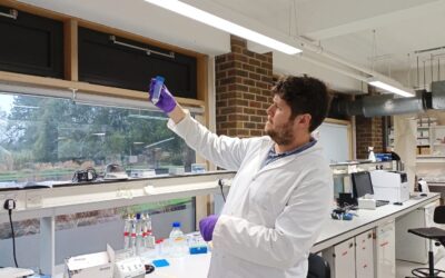 New publication: First-of-its-kind European ash pangenome could help researchers breed a generation of trees resistant to ash dieback