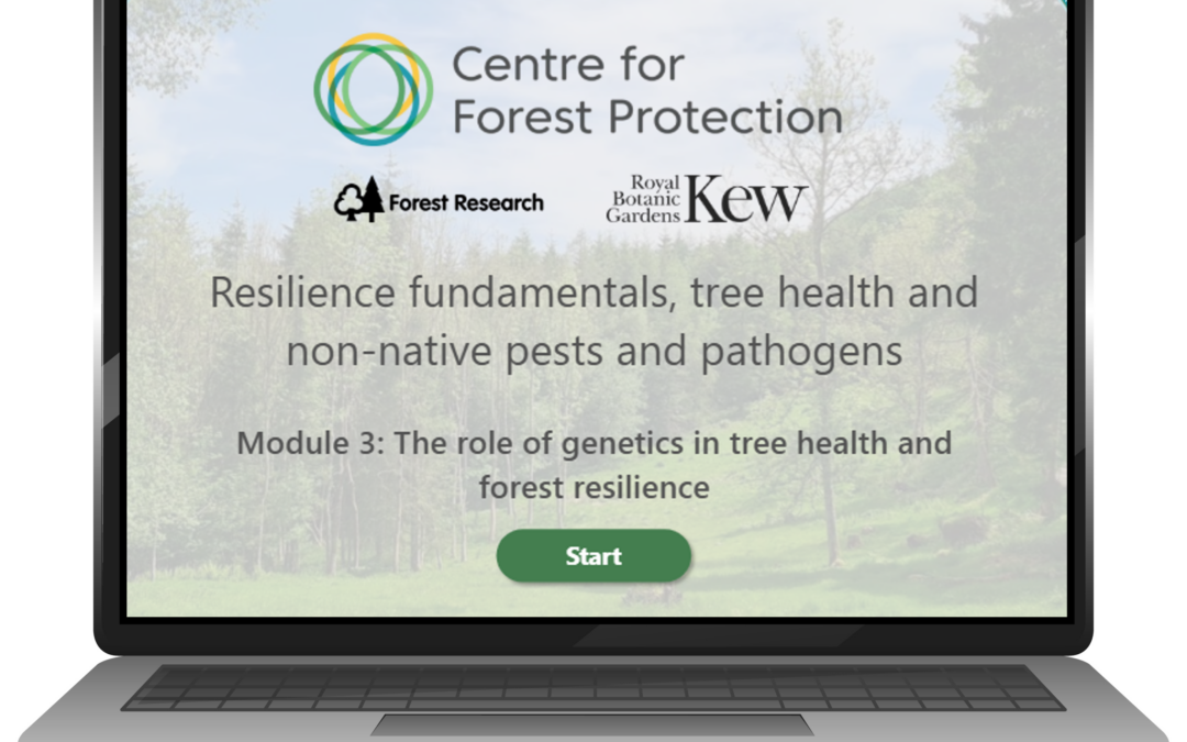 New free training module on the role of genetics in tree health and forest resilience!