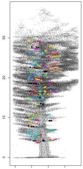 Vertical point-cloud image of a tree showing branch detection analysis. Thousands of grey points outline the trunk, branches and canopy, while clusters of coloured diamond-shaped markers highlight detected branch locations throughout the crown. The coloured markers are distributed at different heights and positions within the tree structure, illustrating identified branching points against the underlying LiDAR-derived tree point cloud.