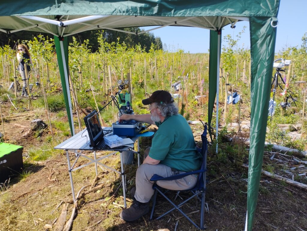 Field research station set up beneath a canopy tent in a young woodland planting site. A seated researcher operates scientific monitoring equipment connected to a laptop on a folding table, while additional instruments mounted on tripods are positioned among rows of newly planted trees in the background. Another researcher stands nearby in the restoration area, which is covered with grasses, planting stakes and forestry debris under bright sunny conditions.