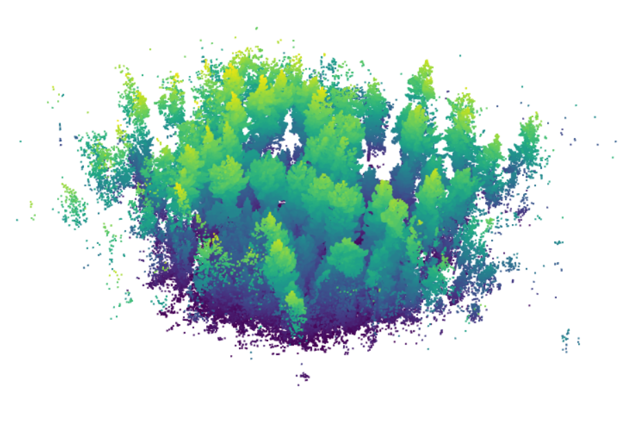 Colour-coded LiDAR point cloud visualisation of a dense cluster of trees viewed from above and slightly to the side. The scan uses a gradient from purple and blue at lower elevations to green and yellow at higher elevations, highlighting variations in vegetation height and canopy structure. Individual tree crowns are visible as distinct shapes within the woodland cluster, set against a plain light-grey background.