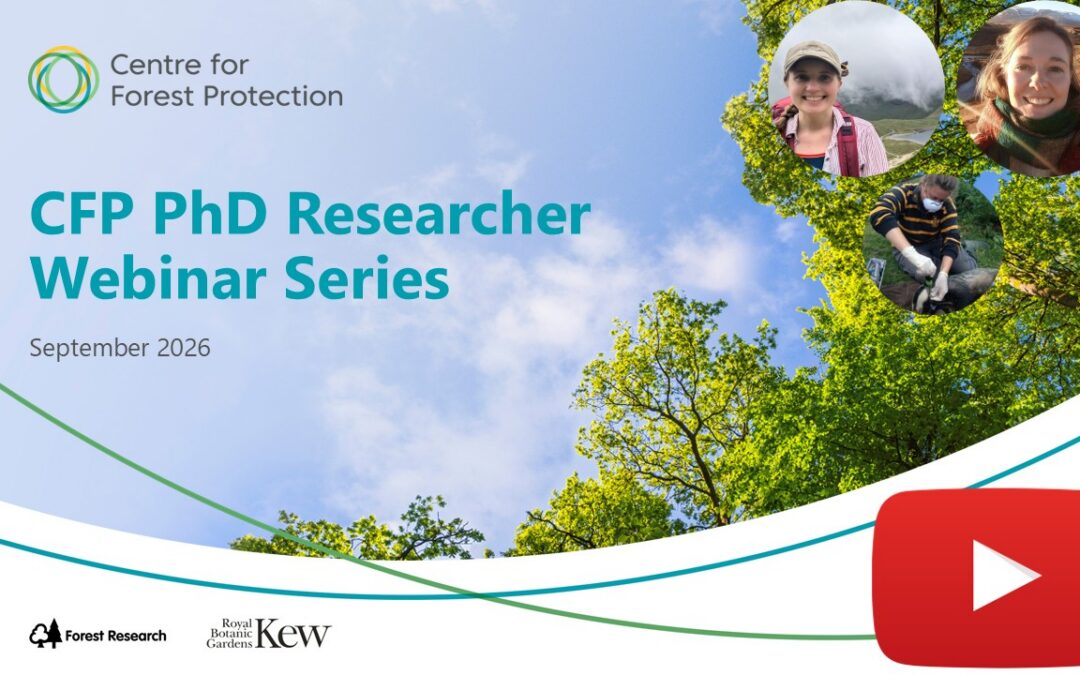 From grey squirrels to “lost” elms: Hear about some of the latest PhD research in tree health