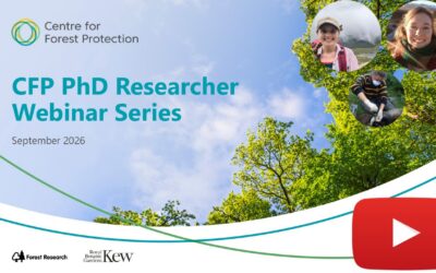 From grey squirrels to “lost” elms: Hear about some of the latest PhD research in tree health