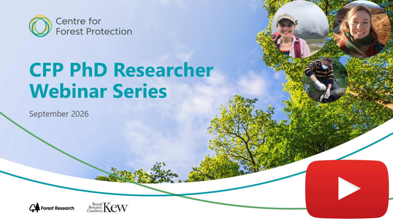 CFP PhD Webinar Series (Sep 26) Promotional banner for the Centre for Forest Protection CFP PhD Researcher Webinar Series, September 2026. The design features a large green tree against a blue sky, circular inset photos of people and a bird in the upper-right corner, and logos for Forest Research and DEFRA-funded Kew at the bottom. A red YouTube play button icon appears in the lower-right corner. Visible text reads: “CFP PhD Researcher Webinar Series” and “September 2026.”